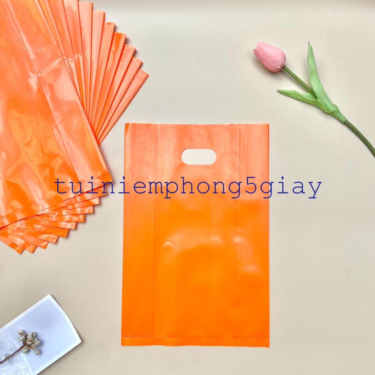 z3246719989249_1007a781a91d16afe97ae738b0403390 - Copy - Copy